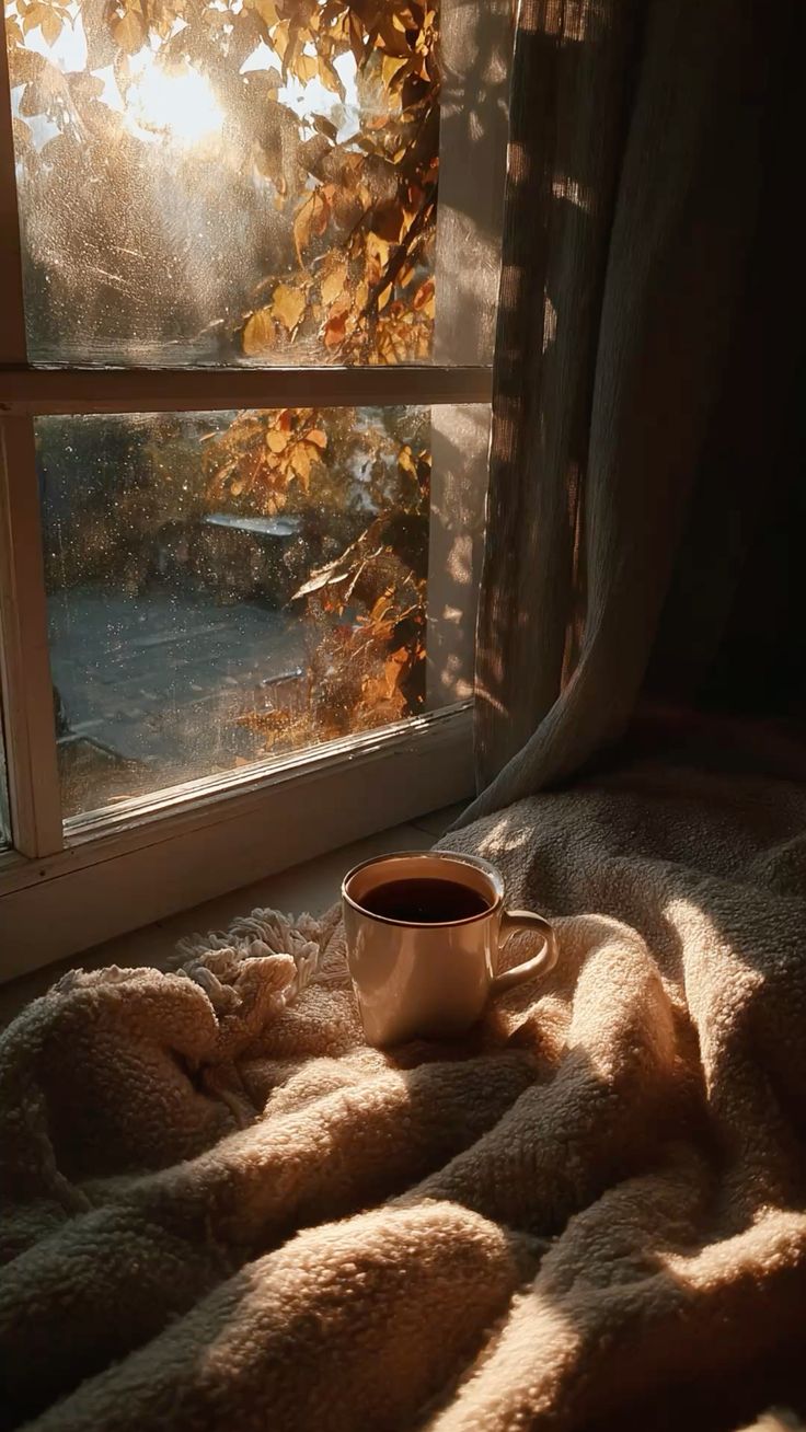 Peace at Home: Building Rhythms of Rest Before the Holidays