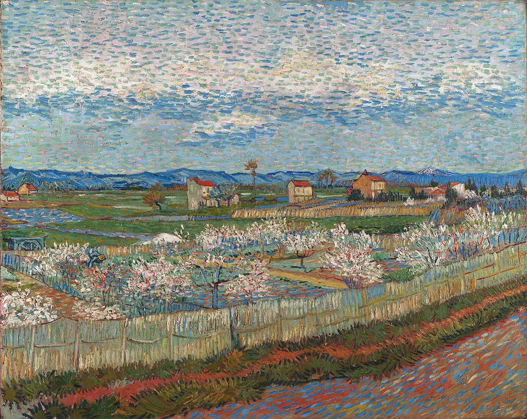Peach Trees in Blossom | Digital