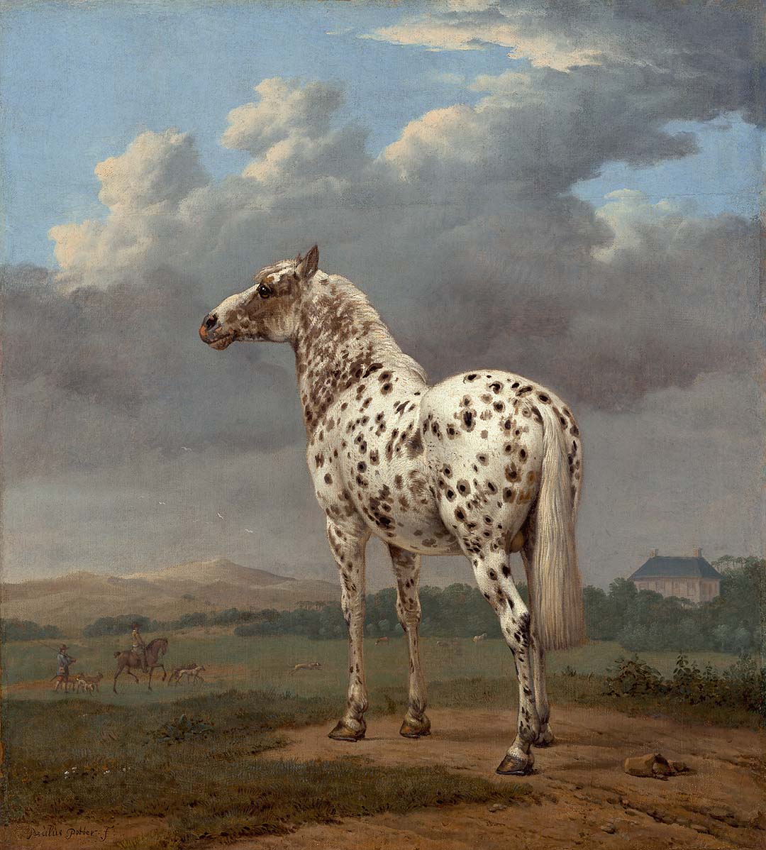 The Piebald Horse | Paper