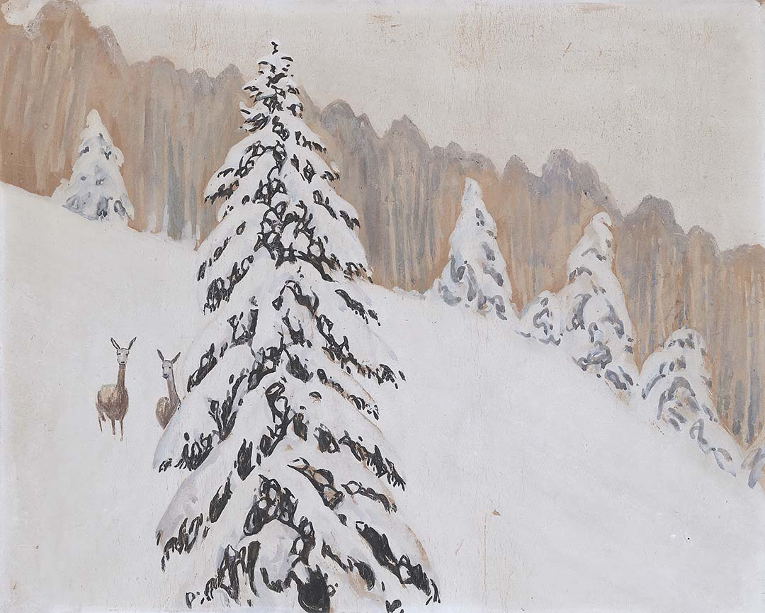 Winter Evergreen | Paper