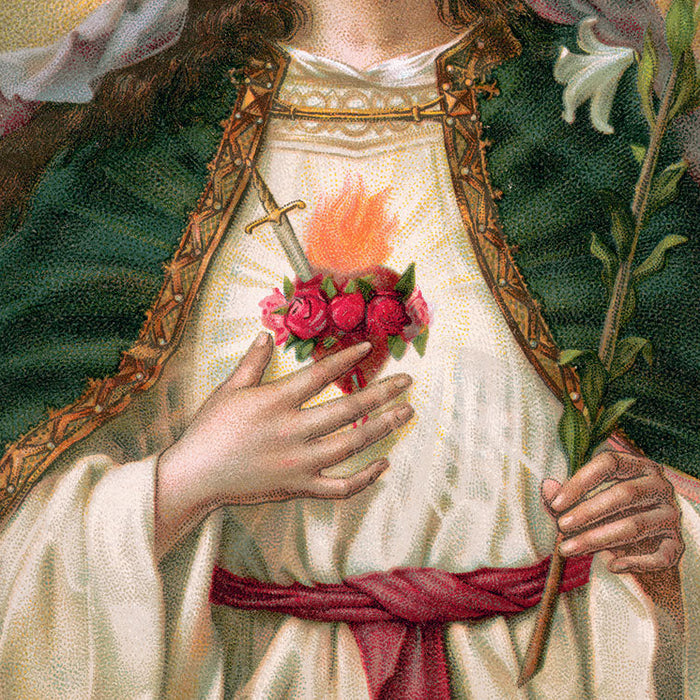 Marian Devotions Through the Year: August
