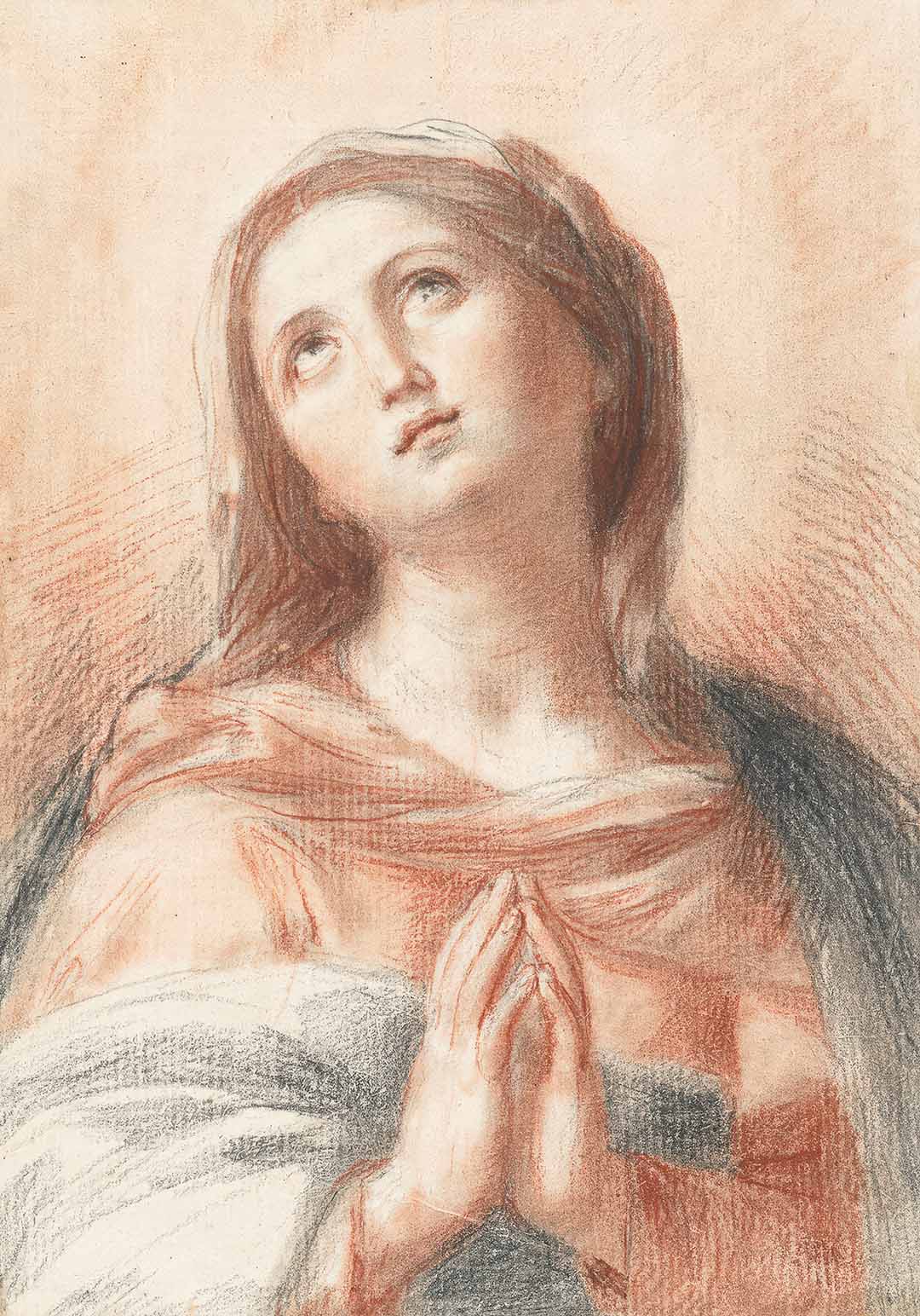 Marian Devotions Through the Year: November