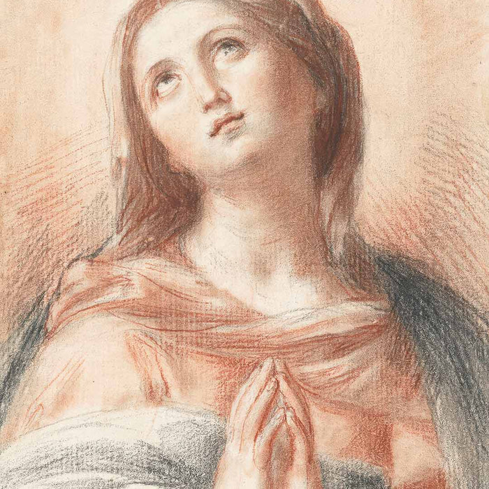 Marian Devotions Through the Year: November