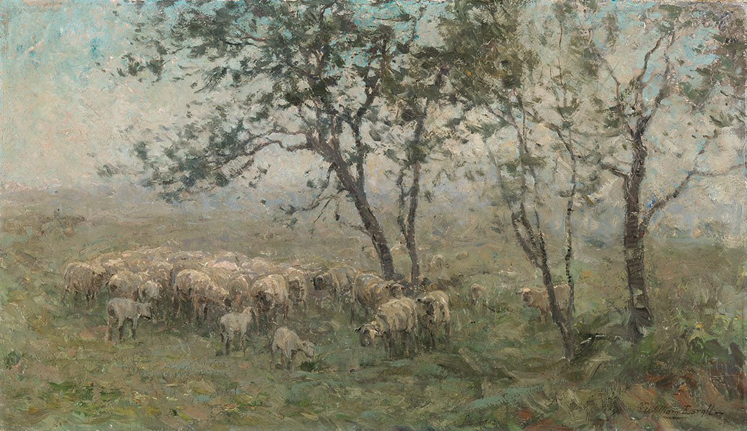 A Flock of Sheep | Paper