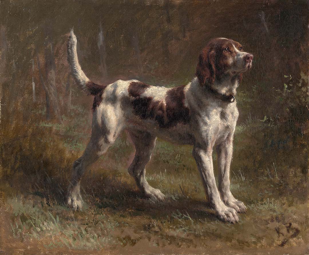 A Limier Briquet Hound | Paper