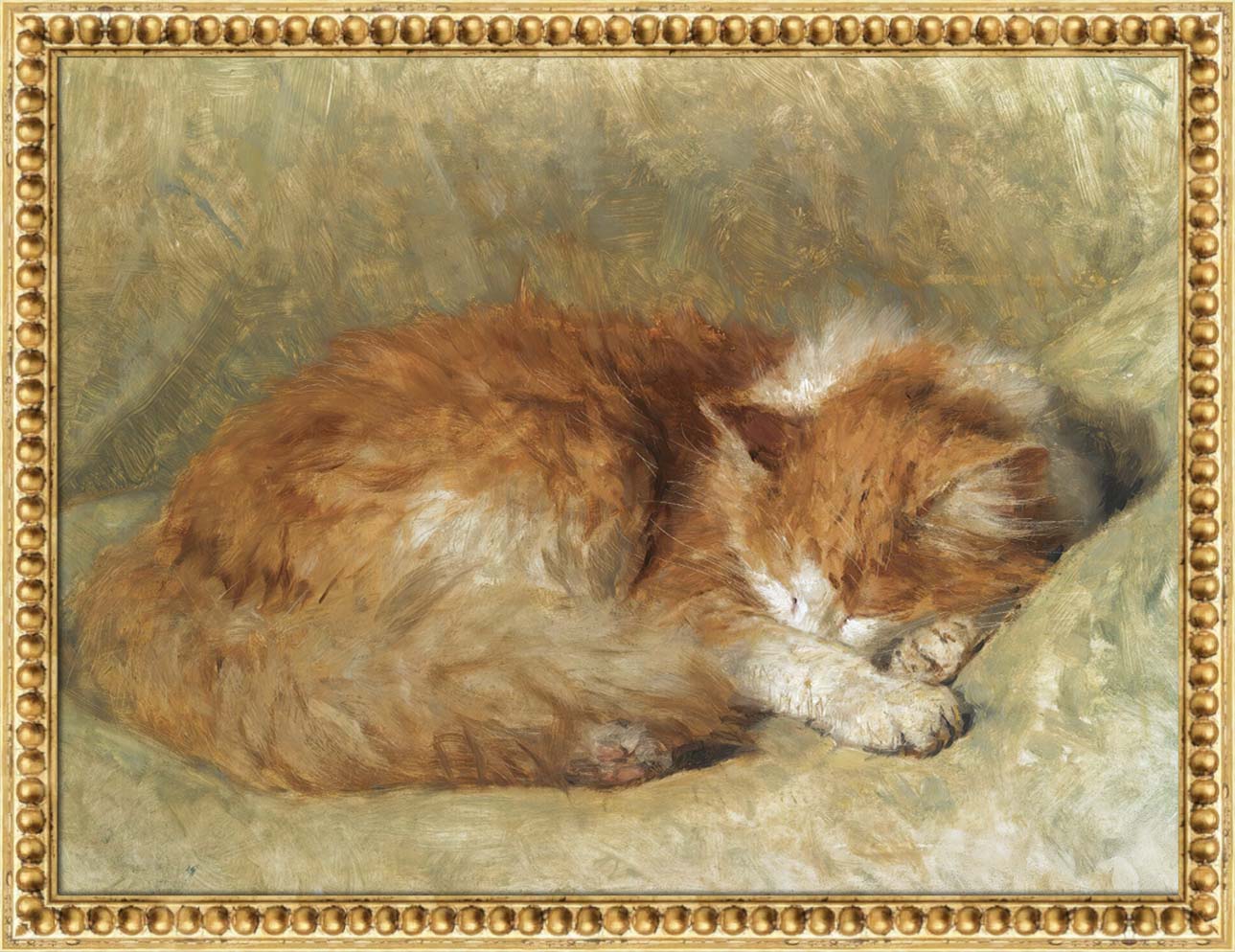 A Sleeping Cat | Paper