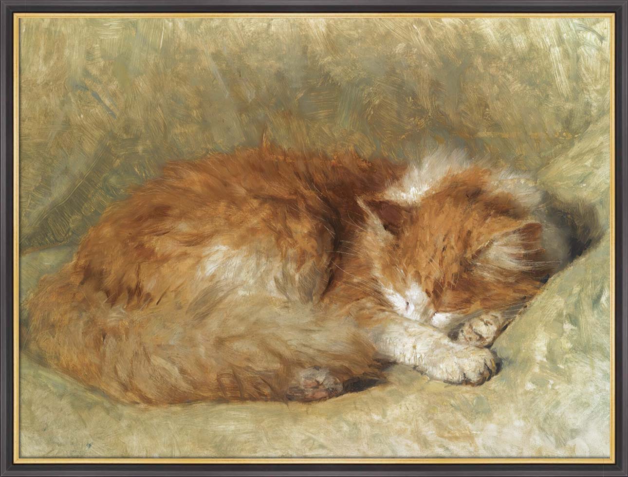 A Sleeping Cat | Paper