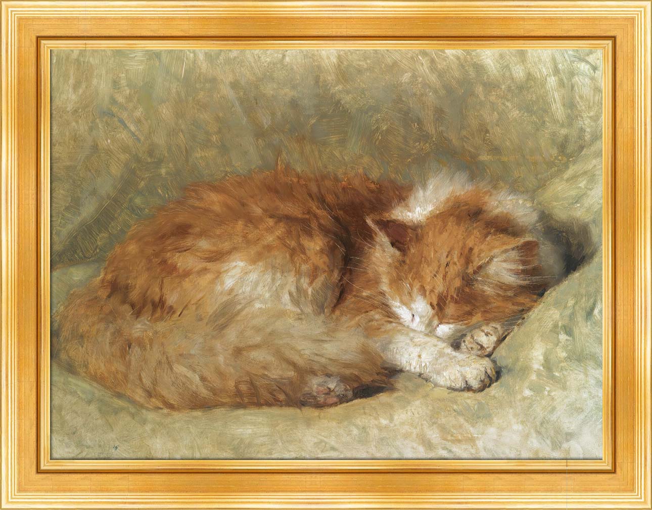A Sleeping Cat | Paper