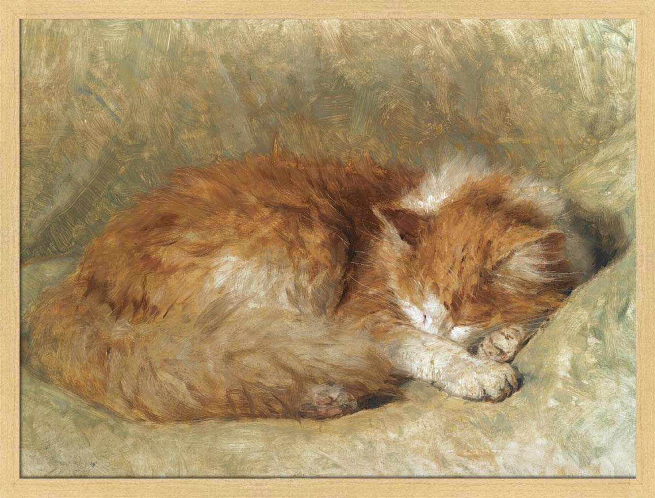 A Sleeping Cat | Paper