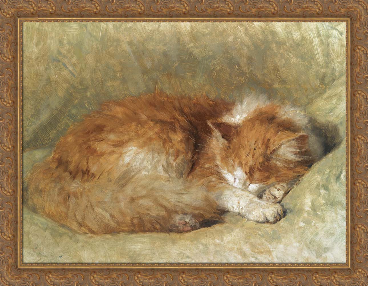 A Sleeping Cat | Paper