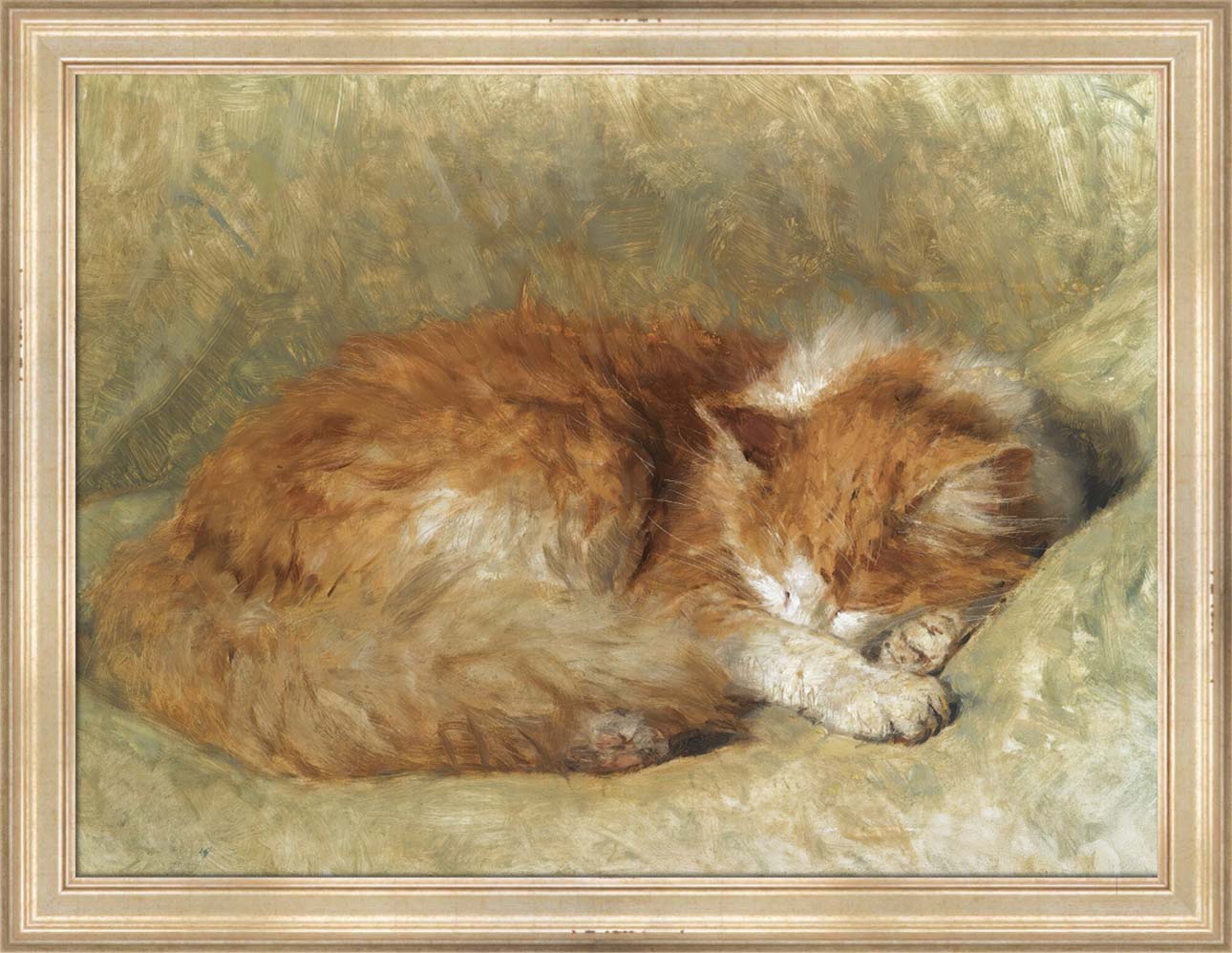 A Sleeping Cat | Paper