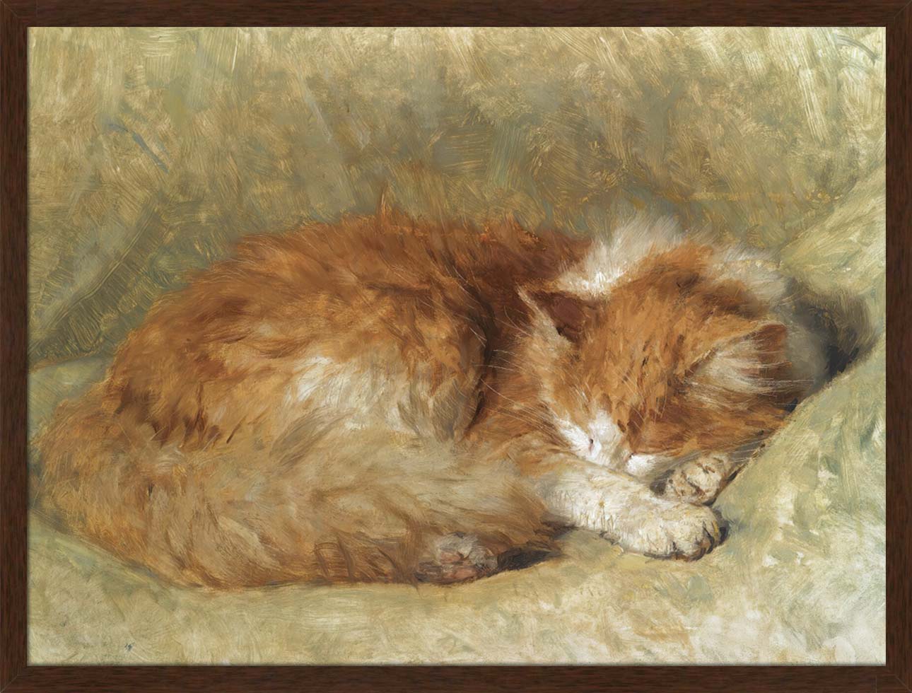 A Sleeping Cat | Paper