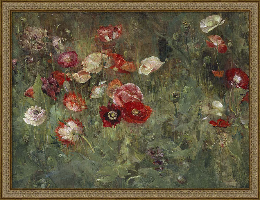 A Bed of Poppies | Paper