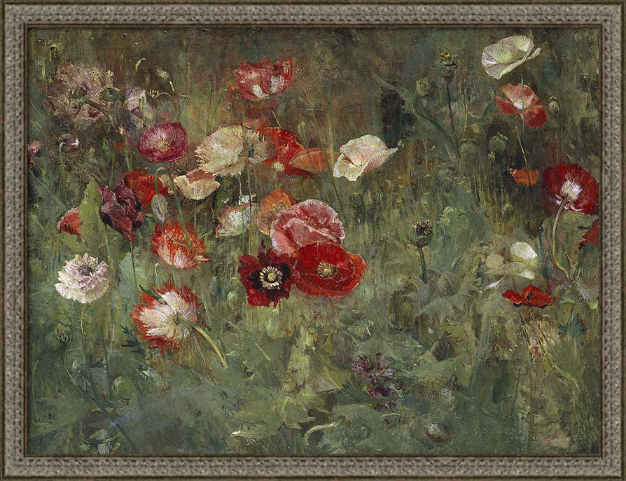 A Bed of Poppies | Paper