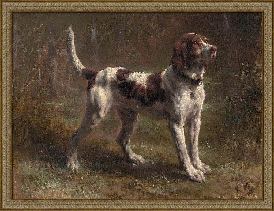 A Limier Briquet Hound | Paper