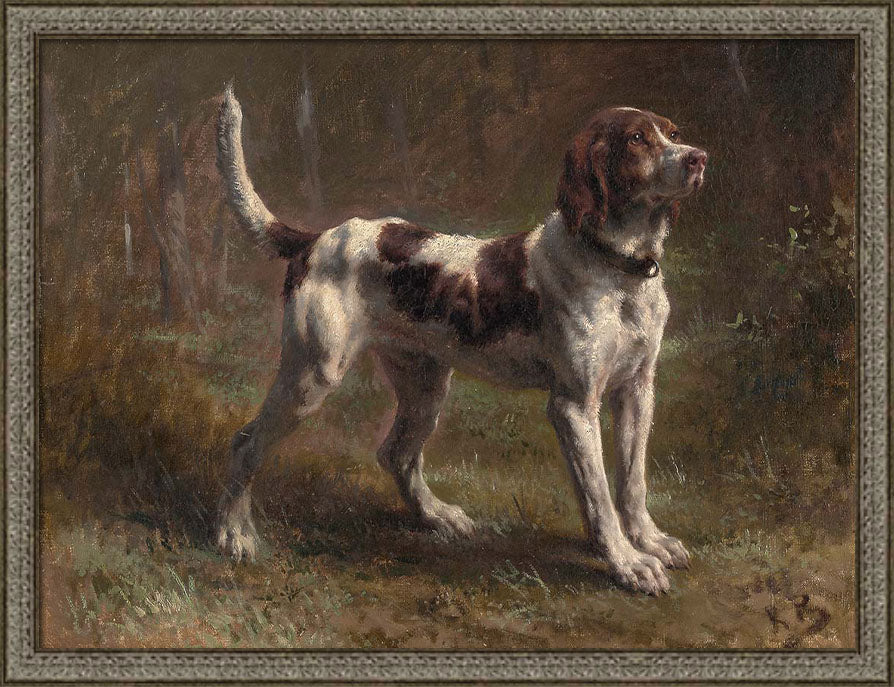 A Limier Briquet Hound | Paper