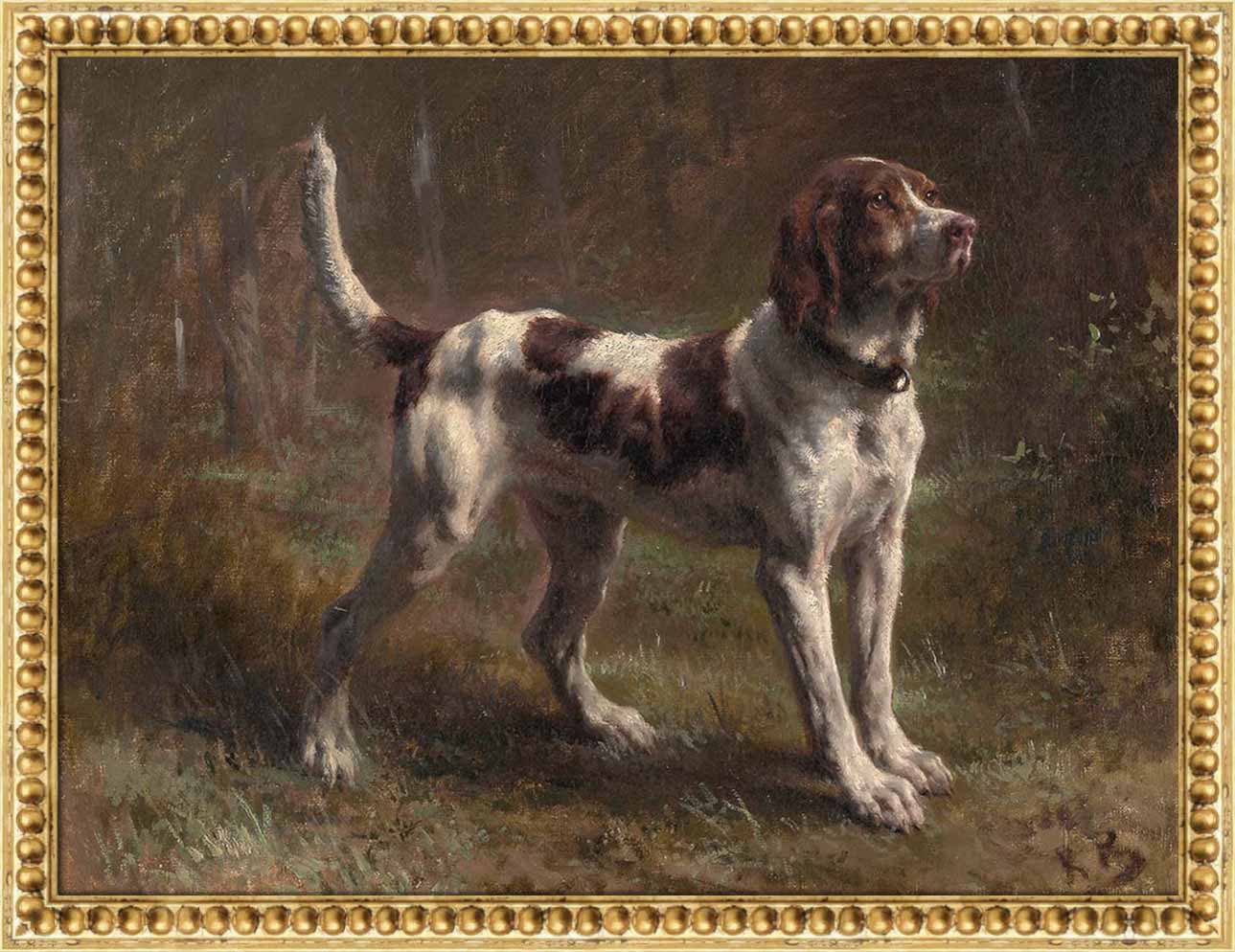 A Limier Briquet Hound | Paper