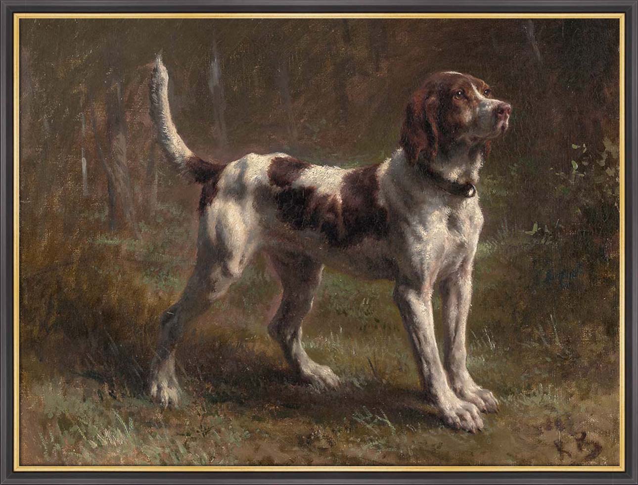 A Limier Briquet Hound | Paper