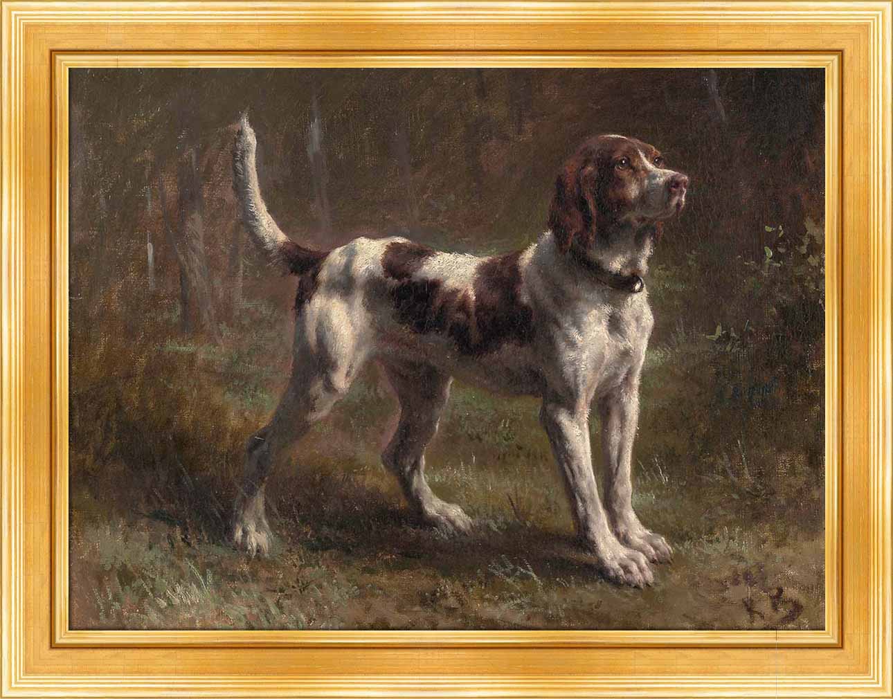 A Limier Briquet Hound | Paper
