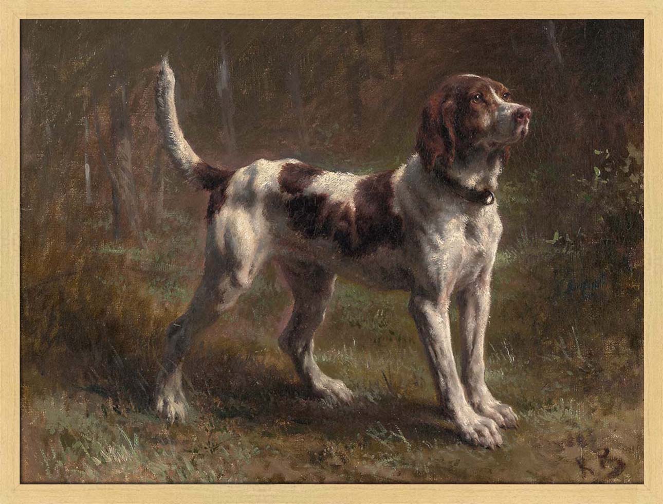A Limier Briquet Hound | Paper