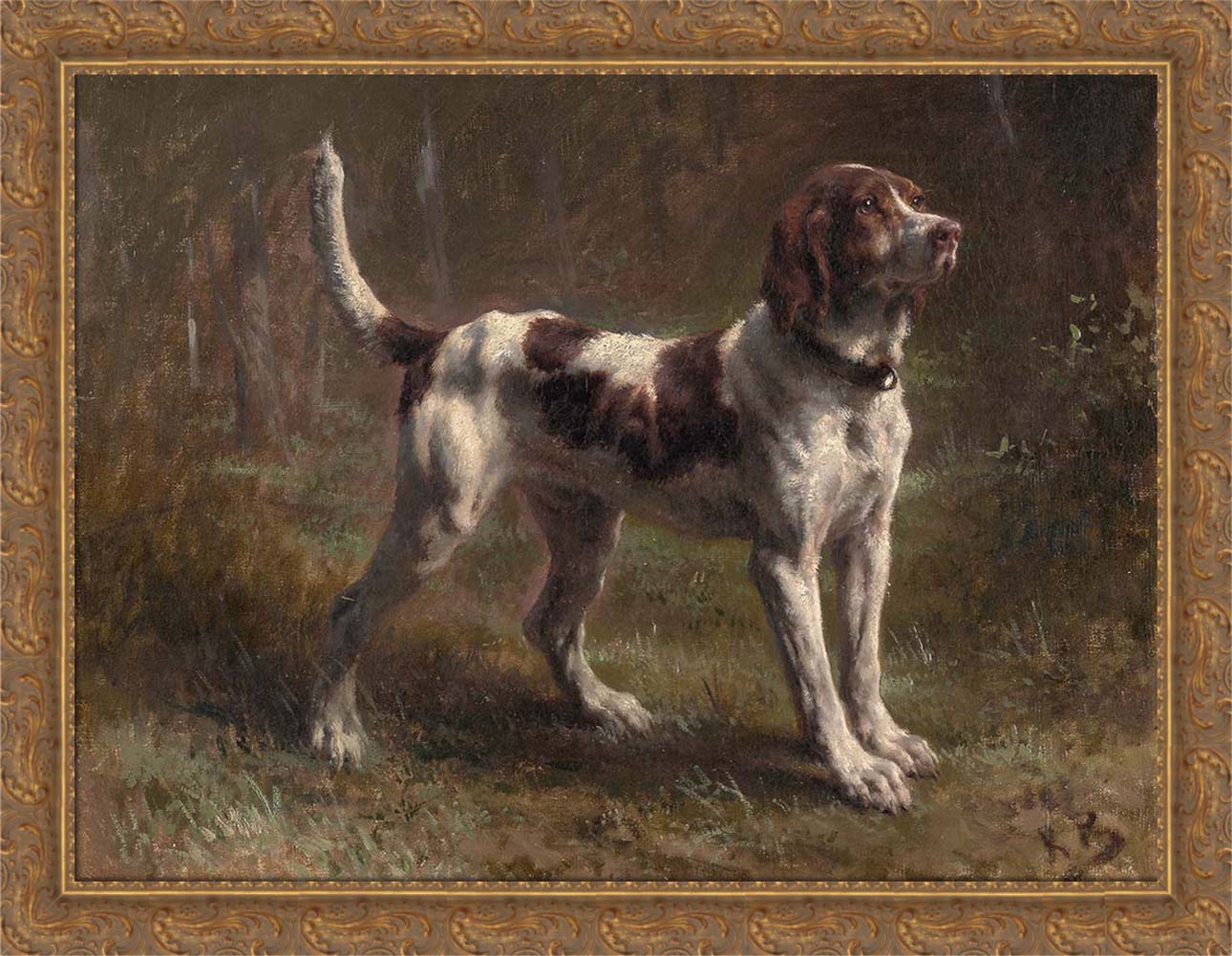 A Limier Briquet Hound | Paper