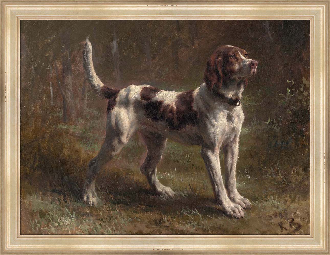 A Limier Briquet Hound | Paper