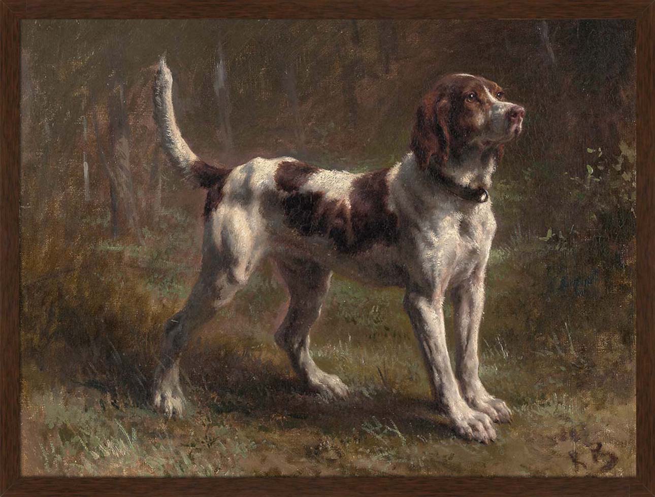 A Limier Briquet Hound | Paper