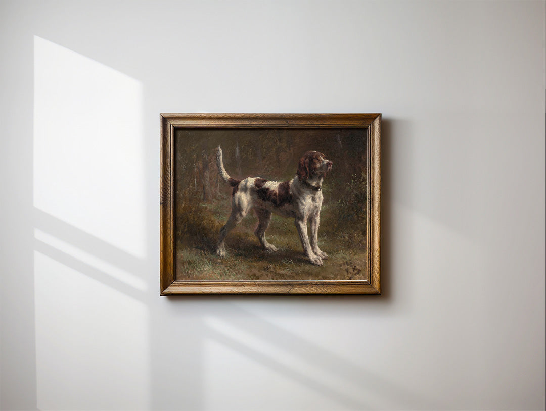 A Limier Briquet Hound | Paper