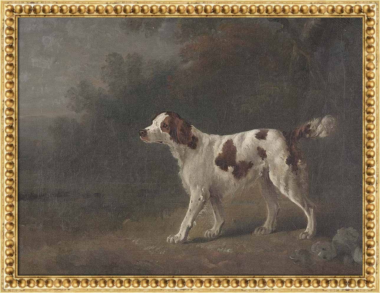 A Setter at the Edge of a Wood | Paper