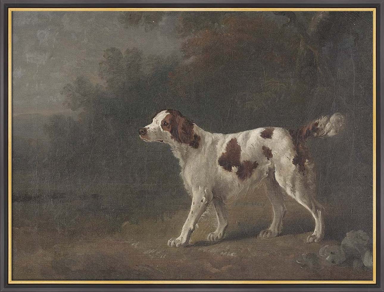 A Setter at the Edge of a Wood | Paper