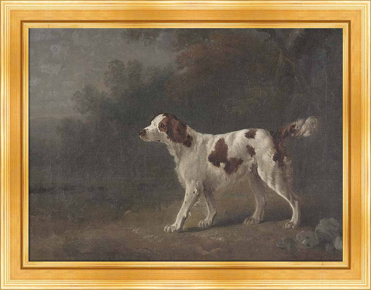A Setter at the Edge of a Wood | Paper