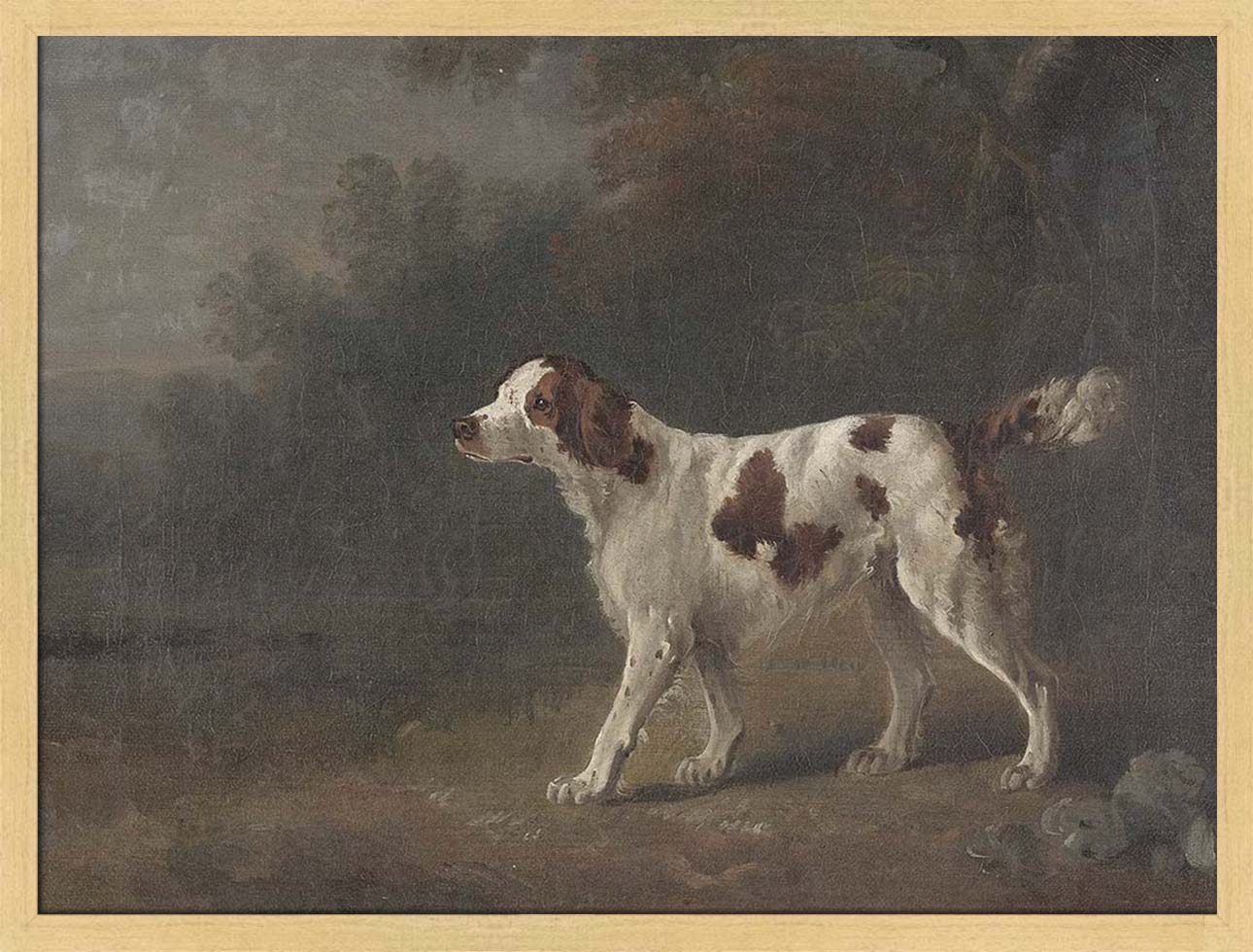 A Setter at the Edge of a Wood | Paper