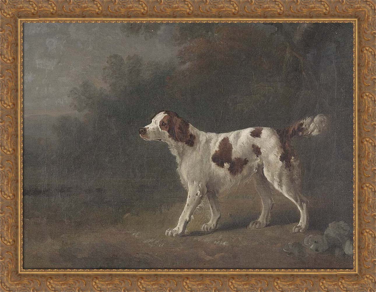 A Setter at the Edge of a Wood | Paper