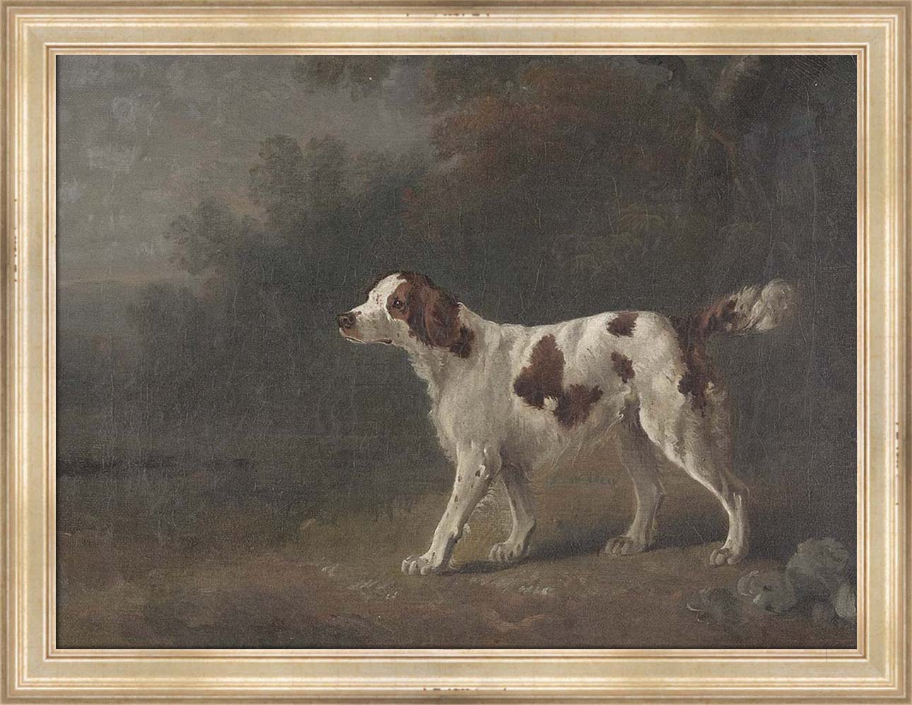 A Setter at the Edge of a Wood | Paper
