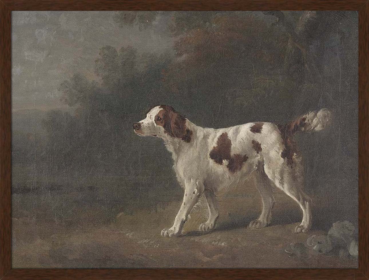 A Setter at the Edge of a Wood | Paper