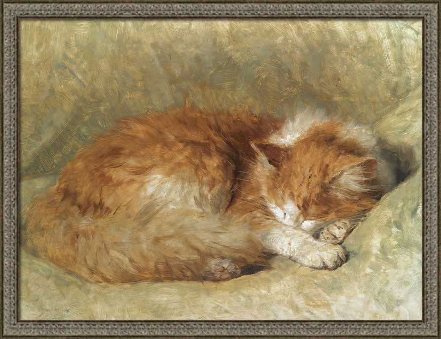 A Sleeping Cat | Paper
