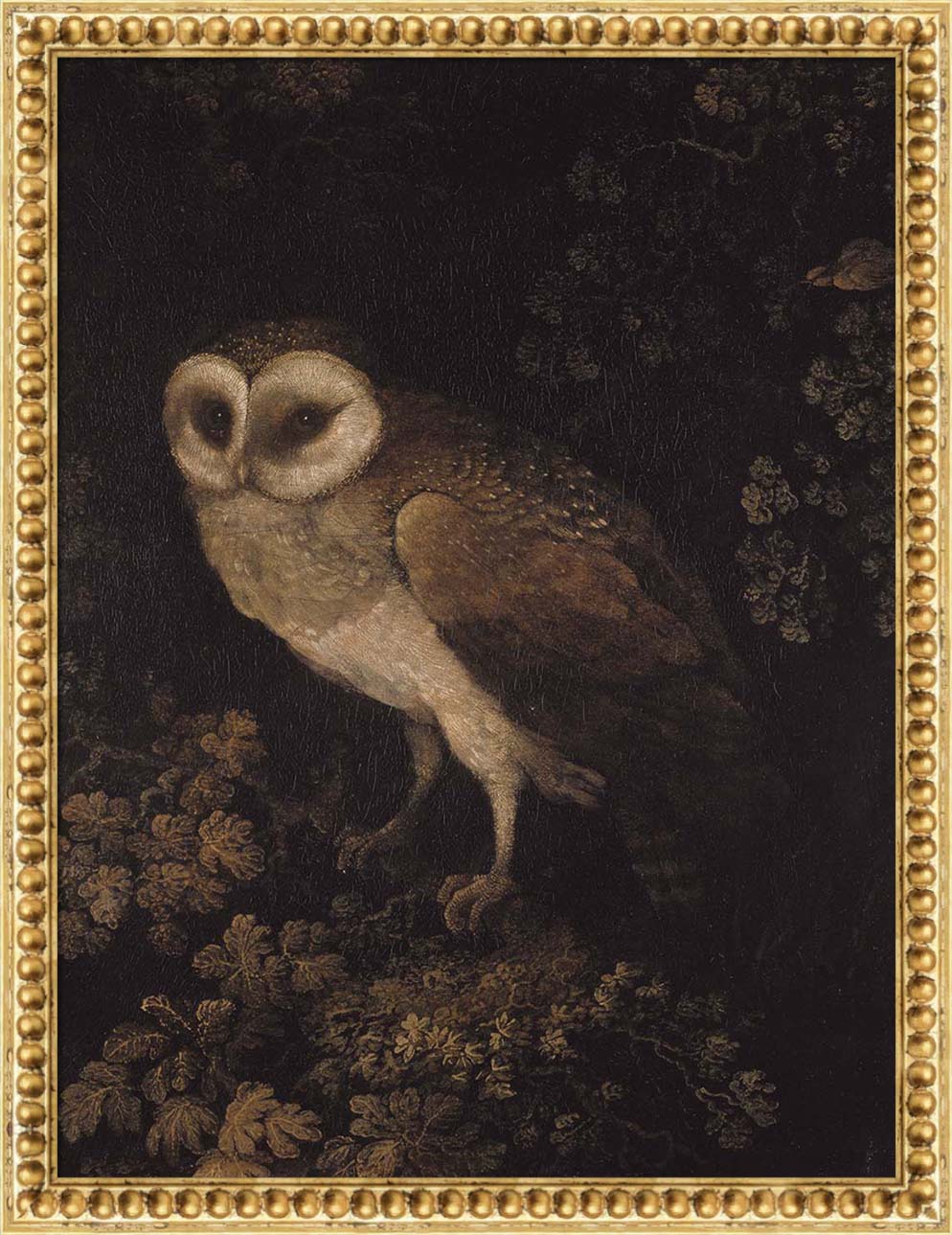An Owl | Paper