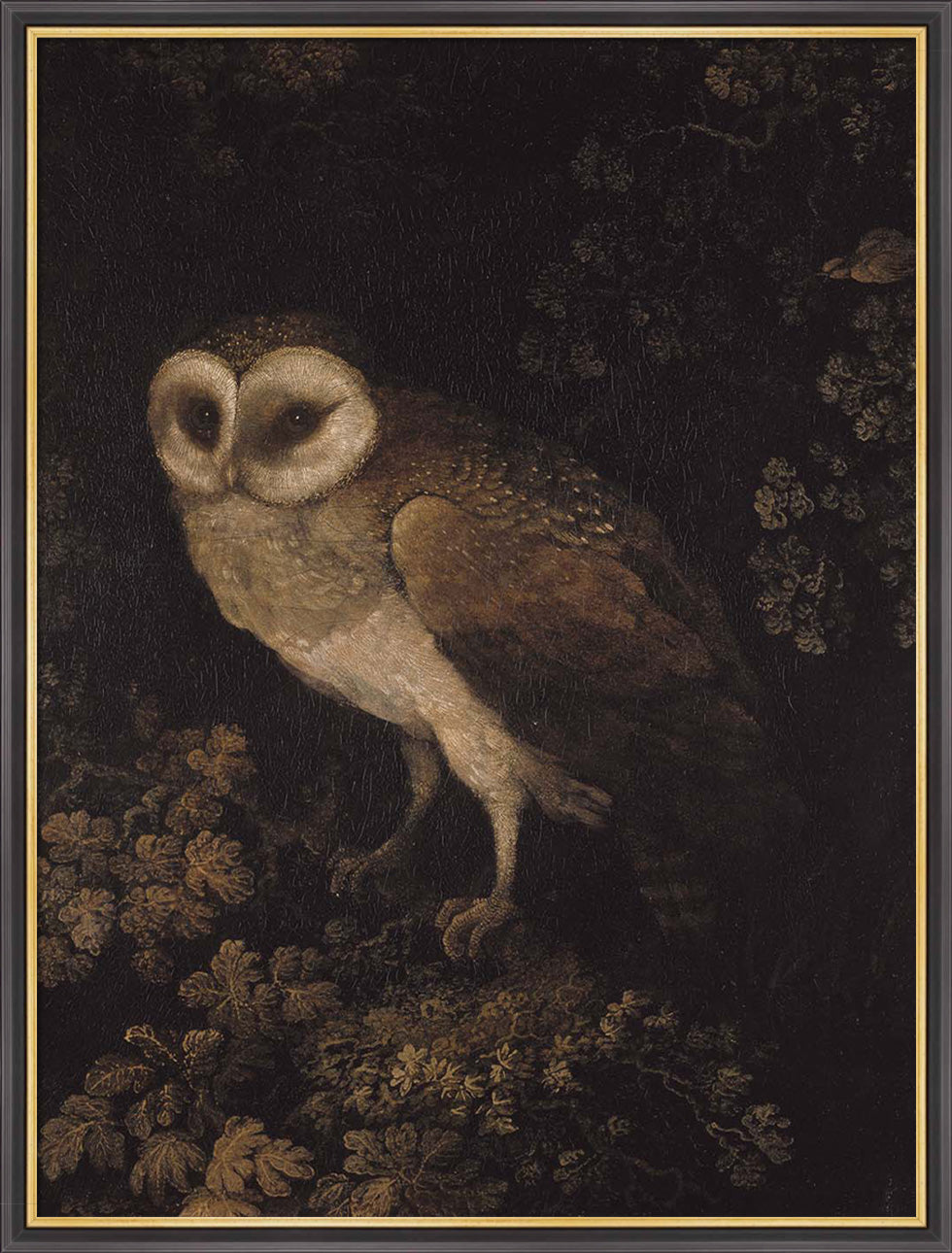 An Owl | Paper