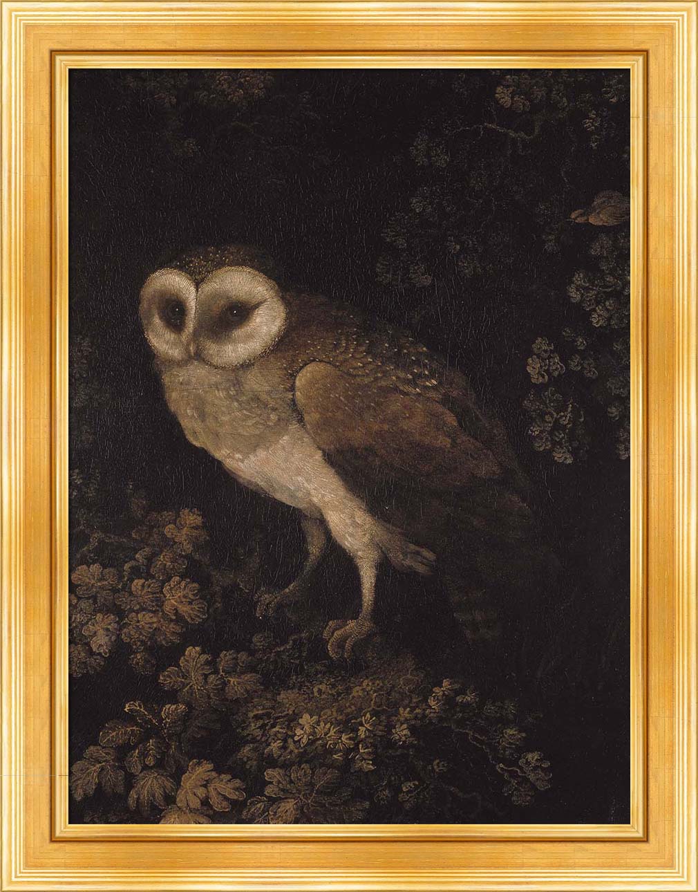 An Owl | Paper