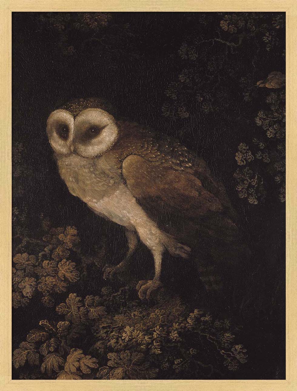 An Owl | Paper