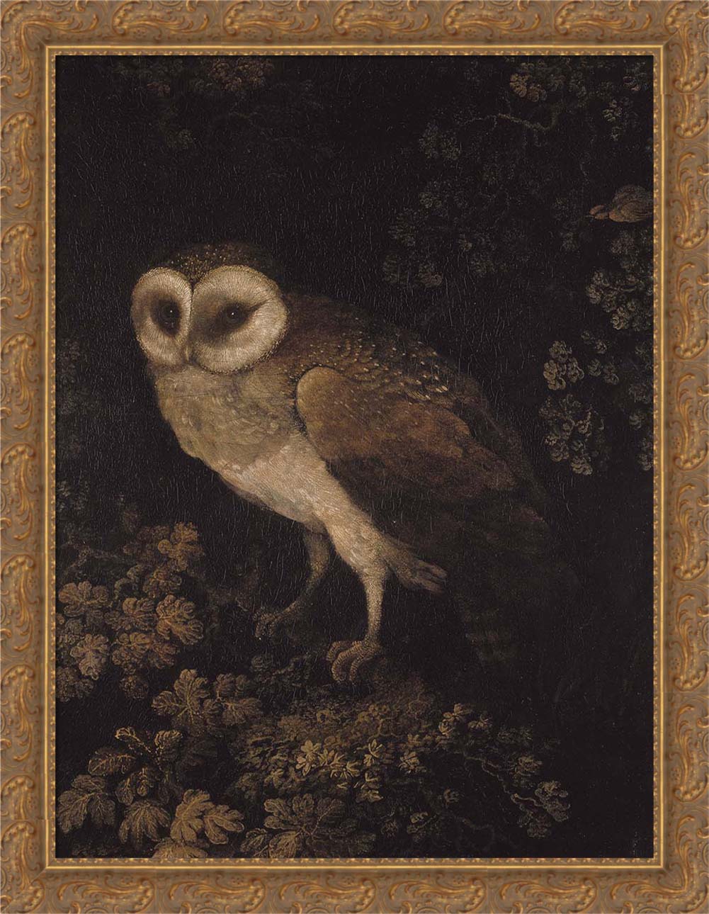 An Owl | Paper