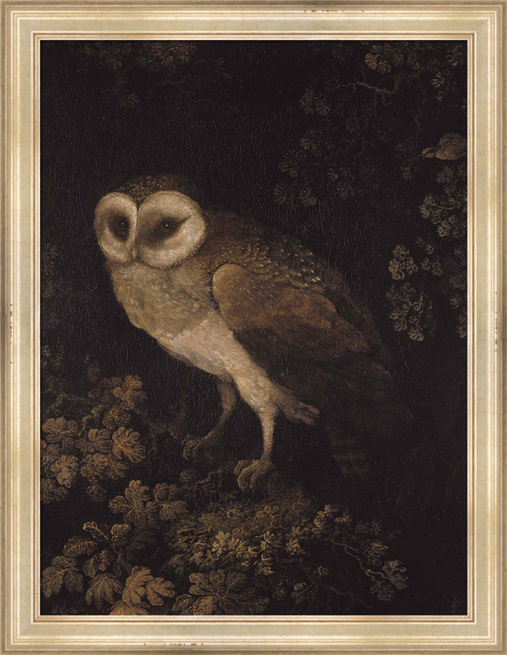An Owl | Paper