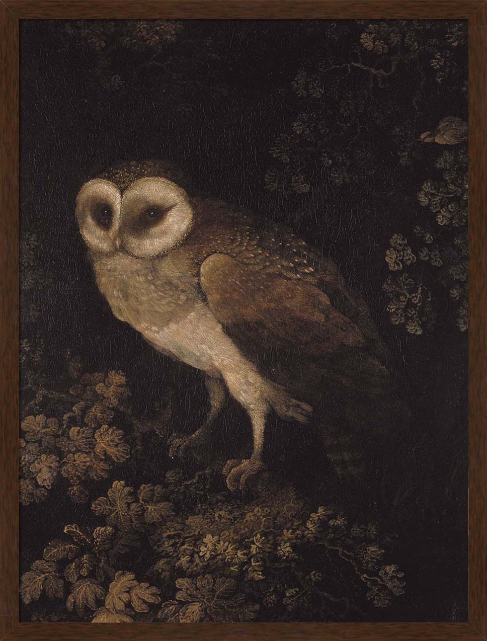 An Owl | Paper