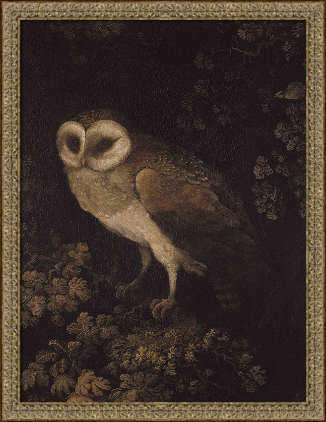 An Owl | Paper