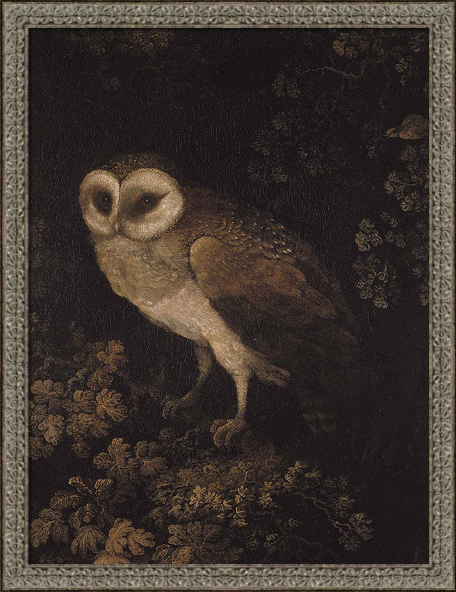 An Owl | Paper