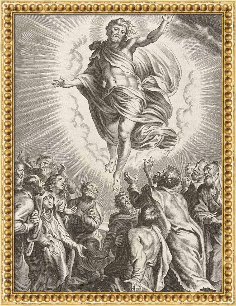 The Ascension | Paper