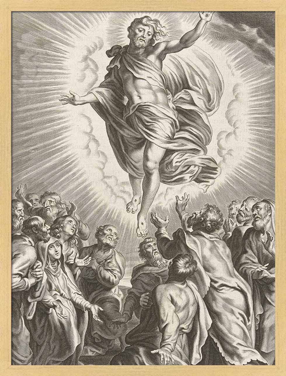 The Ascension | Paper