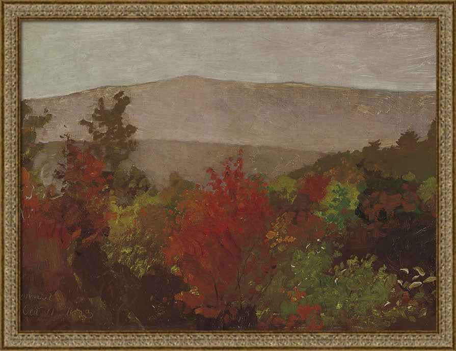 Autumn Tree Tops | Paper