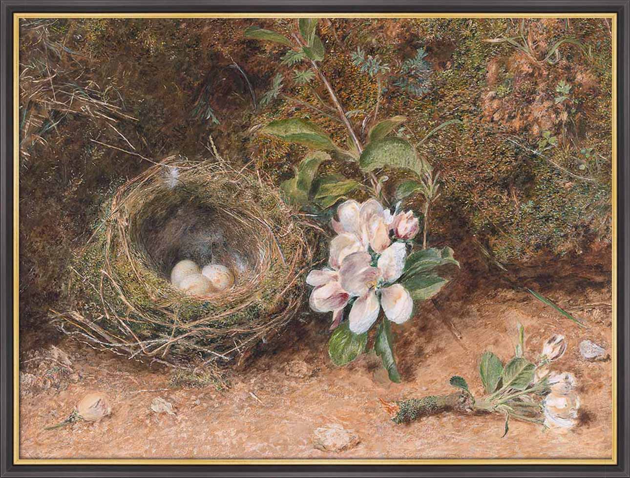 Birds Nest with Apple Blossoms | Paper