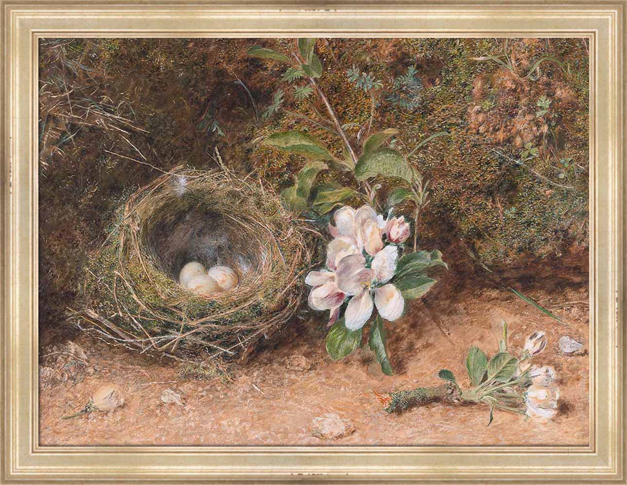 Birds Nest with Apple Blossoms | Paper